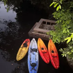 Eco-Lodge Stays - Citron