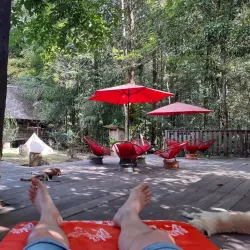 Eco-Lodge Stays - Citron