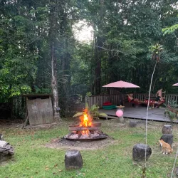 Eco-Lodge Stays - Citron