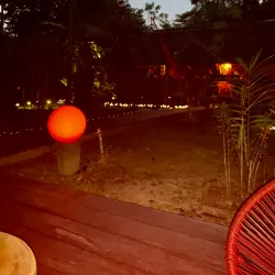 Eco-Lodge Stays - Citron