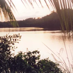 Maroni River - Citron