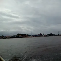 Maroni River - Citron