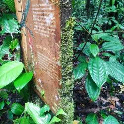 Nature Reserve Observation Points - Citron