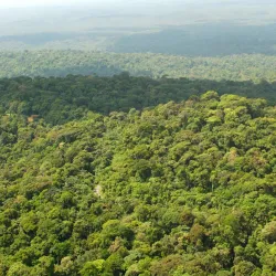 Nature Reserve Observation Points - Citron