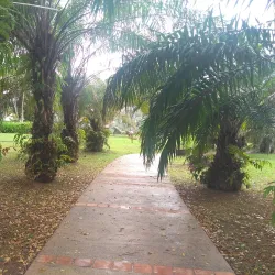 Tropical Botanical Garden - Citron