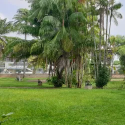 Tropical Botanical Garden - Citron