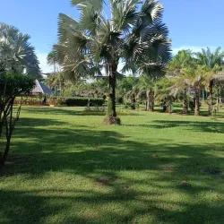 Tropical Botanical Garden - Citron