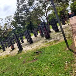 Tropical Botanical Garden - Citron