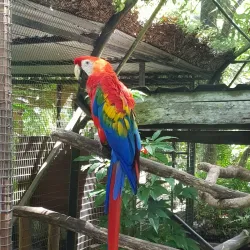 Wildlife Sanctuary - Citron