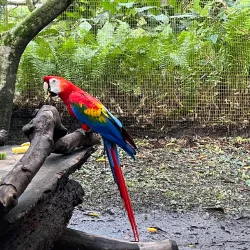 Wildlife Sanctuary - Citron