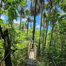 Wildlife Sanctuary - Citron