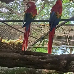 Wildlife Sanctuary - Citron