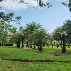Jardin Botanique de Cayenne - Clement