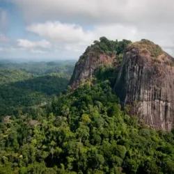 Parc Amazonien de Guyane - Clement