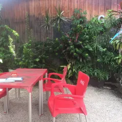 Place des Palmistes - Clement