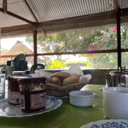 Awala-Yalimapo Beach - Delices