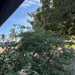 Awala-Yalimapo Beach - Delices