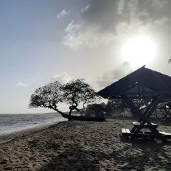 Awala-Yalimapo Beach - Delices