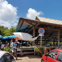 Cacao Village - Delices