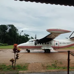 French Guiana Rainforest - Delices