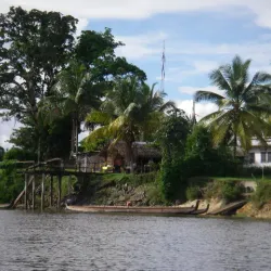 Grand-Santi - Delices