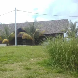 Grand-Santi - Delices