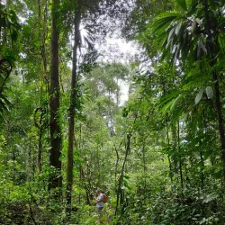 Kaw-Roura Marshland Nature Reserve - Delices