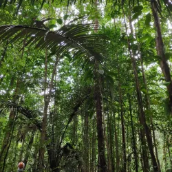 Kaw-Roura Marshland Nature Reserve - Delices
