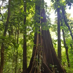 Kaw-Roura Marshland Nature Reserve - Delices