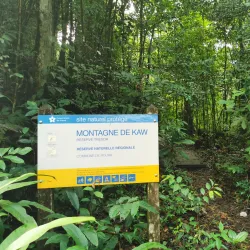 Kaw-Roura Marshland Nature Reserve - Delices