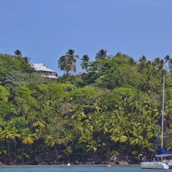 Îles du Salut (Salvation Islands) - Delices