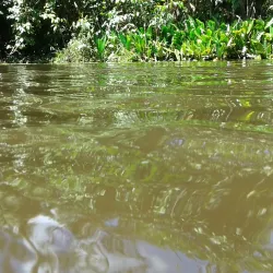 Maroni River - Delices