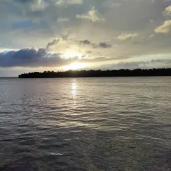 Maroni River - Delices