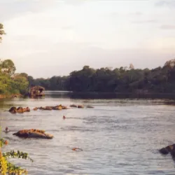 Maroni River - Delices