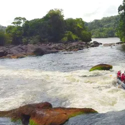 Canoeing and Kayaking on Local Rivers - Paul Isnard