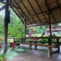 Canoeing and Kayaking on Local Rivers - Paul Isnard