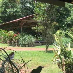 Canoeing and Kayaking on Local Rivers - Paul Isnard