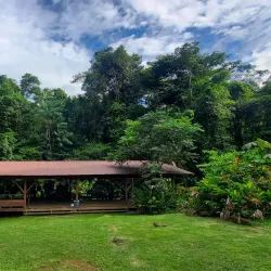 Canoeing and Kayaking on Local Rivers - Paul Isnard