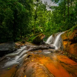 Trekking and Wildlife Watching - Paul Isnard