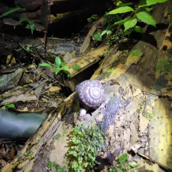 Trekking and Wildlife Watching - Paul Isnard