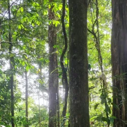 Trekking and Wildlife Watching - Paul Isnard