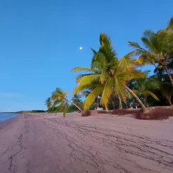 Awala-Yalimapo Beach - St-jean