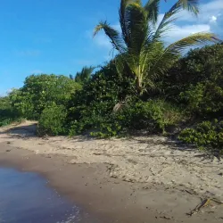 Awala-Yalimapo Beach - St-jean
