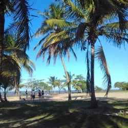 Awala-Yalimapo Beach - St-jean