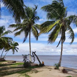Awala-Yalimapo Beach - St-jean