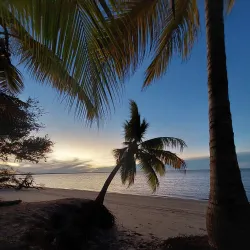 Awala-Yalimapo Beach - St-jean