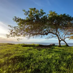 Awala-Yalimapo Beach - St-jean