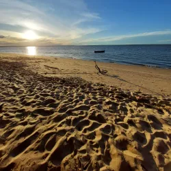 Awala-Yalimapo Beach - St-jean