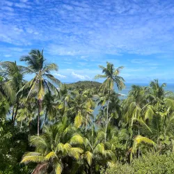 Îles du Salut (Salvation Islands) - St-jean