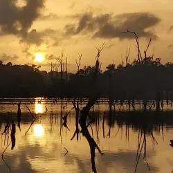 Petit Saut Dam - St-jean